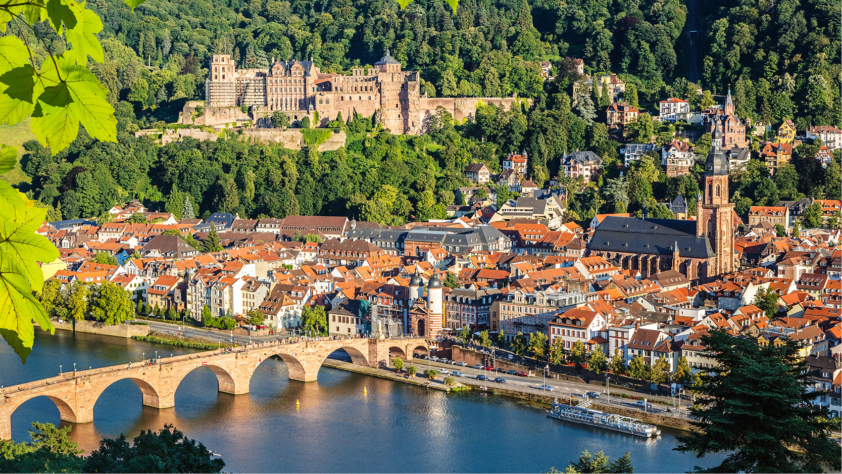 Heidelberg slott bland grönska ovanför stadskärnan, Tyskland.